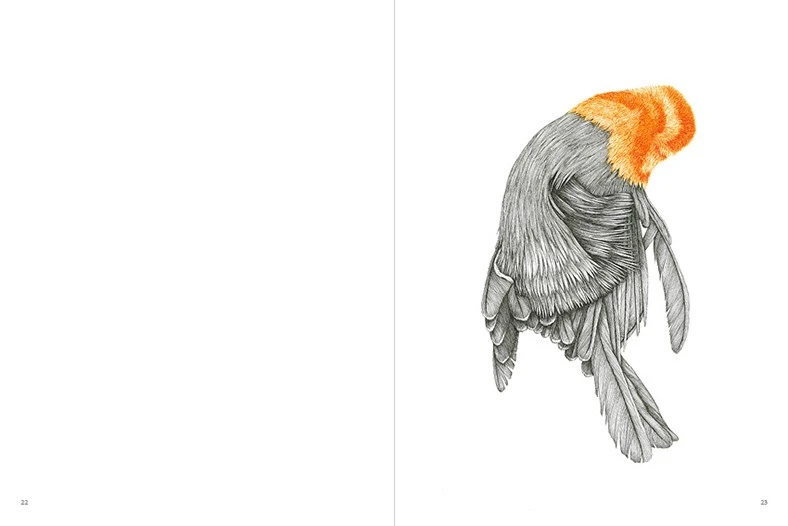 portfolio-thumb-3