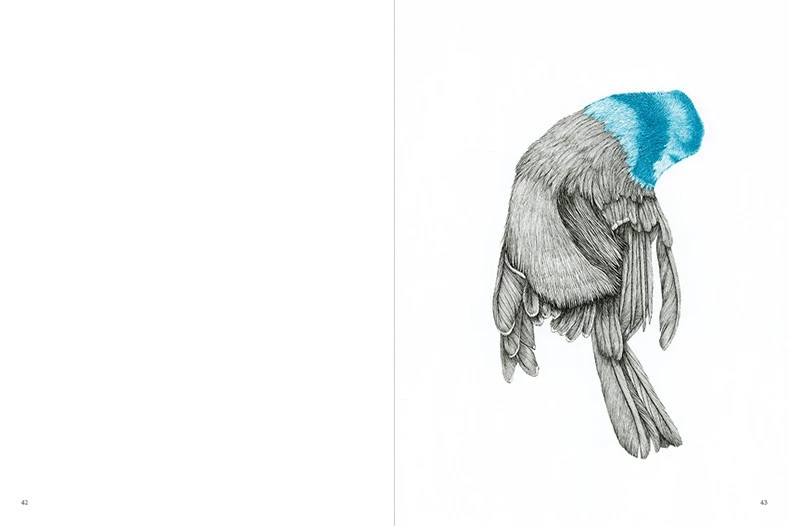portfolio-thumb-3